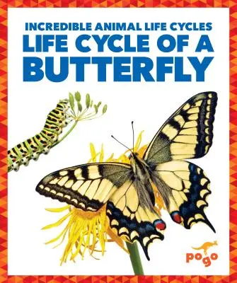 Ciclul de viață al unui fluture - Life Cycle of a Butterfly