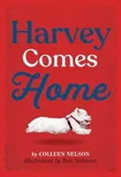 Harvey vine acasă - Harvey Comes Home