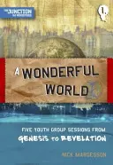 O lume minunată: Cartea 1: Cinci sesiuni pentru grupuri de tineri de la Geneza la Apocalipsa - A A Wonderful World: Book 1: Five Youth Group Sessions from Genesis to Revelation