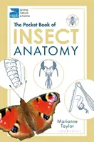 Cartea de buzunar a anatomiei insectelor - Pocket Book of Insect Anatomy