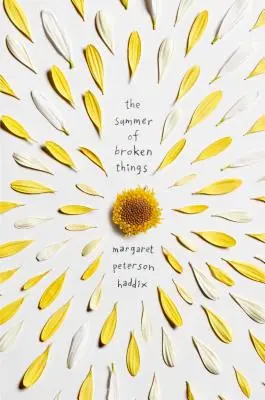 Vara lucrurilor distruse (The Summer of Broken Things) - The Summer of Broken Things
