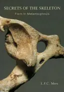 Secretele scheletului: Forma în metamorfoză - Secrets of the Skeleton: Form in Metamorphosis