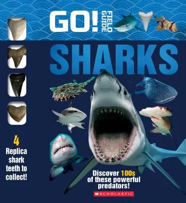 Go! Ghid de teren: Rechini - Go! Field Guide: Sharks