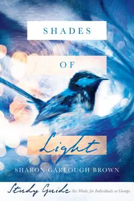 Shades of Light Ghid de studiu - Shades of Light Study Guide