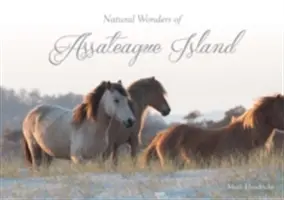 Minunile naturale ale insulei Assateague - Natural Wonders of Assateague Island