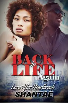 Înapoi la viață din nou: Dragoste după inimă frântă - Back to Life Again: Love After Heartbreak