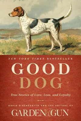 Good Dog: Povești adevărate de dragoste, pierdere și loialitate - Good Dog: True Stories of Love, Loss, and Loyalty
