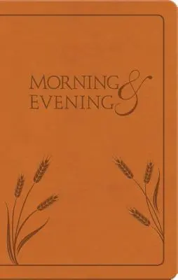 Dimineața și seara: Noua versiune internațională - Morning and Evening: New International Version