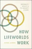 Cum funcționează lumea vieții: Emoționalitatea, socialitatea și ambiguitatea de a fi - How Lifeworlds Work: Emotionality, Sociality, and the Ambiguity of Being