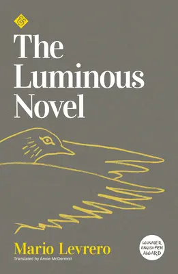 Romanul luminos - The Luminous Novel