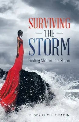 Supraviețuind furtunii: Găsirea unui adăpost în timpul unei furtuni - Surviving the Storm: Finding Shelter in a Storm