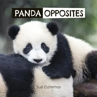 Panda opuși - Panda Opposites