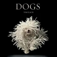 Câini - Dogs