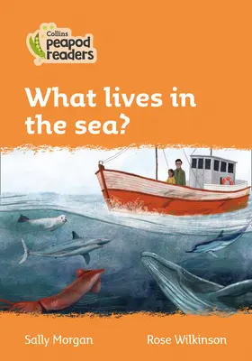 Nivelul 4 - Ce trăiește în mare? - Level 4 - What lives in the sea?