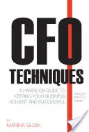 Tehnici CFO: A Hands-On Guide to Keeping Your Business Solvent and Successful - CFO Techniques: A Hands-On Guide to Keeping Your Business Solvent and Successful