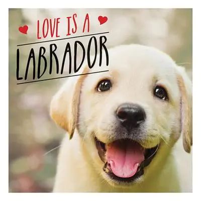 Love is a Labrador - O celebrare labradoristică a câinelui favorit din lume - Love is a Labrador - A Lab-Tastic Celebration of the World's Favourite Dog