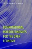 Macroeconomie computațională pentru economia deschisă - Computational Macroeconomics for the Open Economy