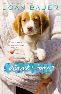 Aproape acasă - Almost Home