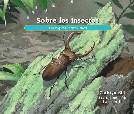 Sobre Los Insectos: Una Gua Para Nios = Despre Insecte - Sobre Los Insectos: Una Gua Para Nios = About Insects