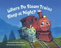Unde dorm trenurile cu aburi noaptea? - Where Do Steam Trains Sleep at Night?