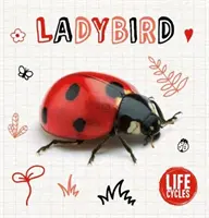 Buburuză - Ladybird