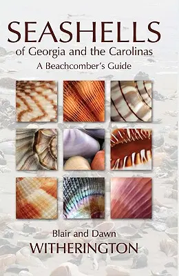 Scoici de mare din Georgia și Carolina: Ghidul unui iubitor de plajă - Seashells of Georgia and the Carolinas: A Beachcomber's Guide