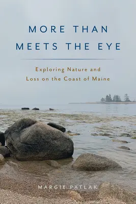 More Than Meets the Eye: Explorarea naturii și a pierderilor pe coasta statului Maine - More Than Meets the Eye: Exploring Nature and Loss on the Coast of Maine