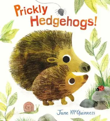 Arici înțepători! - Prickly Hedgehogs!