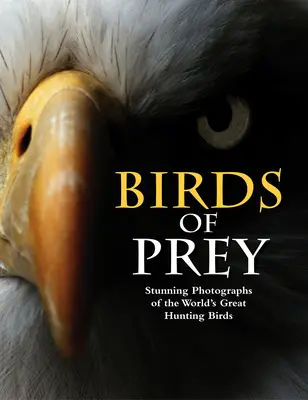 Păsări de pradă: Fotografii uimitoare ale marilor păsări de vânătoare ale lumii - Birds of Prey: Stunning Photographs of the World's Great Hunting Birds