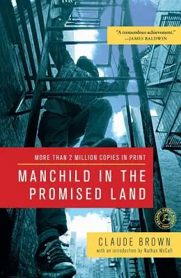 Manchild în Țara Promisă - Manchild in the Promised Land