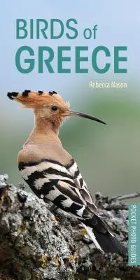 Păsările din Grecia - Birds of Greece