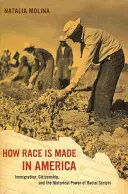 How Race Is Made in America, 38: Immigration, Citizenship, and the Historical Power of Racial Scripts