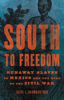 Sudul spre libertate: Runaway Slaves to Mexico and the Road to the Civil War (Sclavii fugiți în Mexic și drumul spre Războiul Civil) - South to Freedom: Runaway Slaves to Mexico and the Road to the Civil War