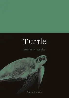 Broască țestoasă - Turtle