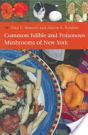 Ciuperci comune comestibile și otrăvitoare din New York - Common Edible and Poisonous Mushrooms of New York