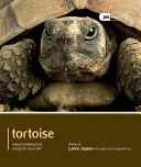 Broască țestoasă - Tortoise