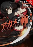 Akame Ga Kill!, Vol. 13
