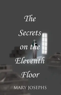 Secretele de la etajul unsprezece (The Secrets on the Eleventh Floor) - The Secrets on the Eleventh Floor