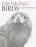 Desenarea păsărilor - Drawing Birds