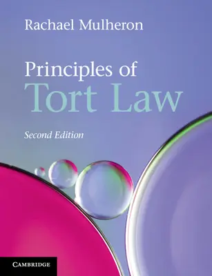 Principii de drept al răspunderii civile delictuale - Principles of Tort Law