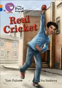 Cricket adevărat - Real Cricket