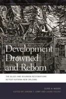 Dezvoltare Înecată și renăscută: Restaurarea Blues-ului și a Bourbon-ului în New Orleans după Katrina - Development Drowned and Reborn: The Blues and Bourbon Restorations in Post-Katrina New Orleans