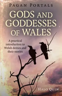 Pagan Portals - Zei și zeițe din Țara Galilor: O introducere practică la zeitățile galeze și poveștile lor - Pagan Portals - Gods and Goddesses of Wales: A Practical Introduction to Welsh Deities and Their Stories