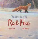 Viața secretă a vulpii roșii - The Secret Life of the Red Fox