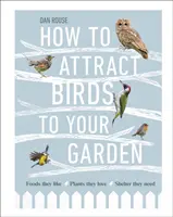 Cum să atragi păsările în grădina ta - Alimentele care le plac, plantele pe care le iubesc, adăpostul de care au nevoie - How to Attract Birds to Your Garden - Foods they like, plants they love, shelter they need