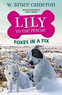 Lily la salvare: Vulpile în încurcătură - Lily to the Rescue: Foxes in a Fix