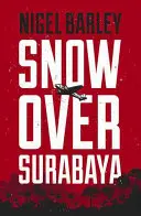 Zăpadă peste Surabaya - Snow Over Surabaya