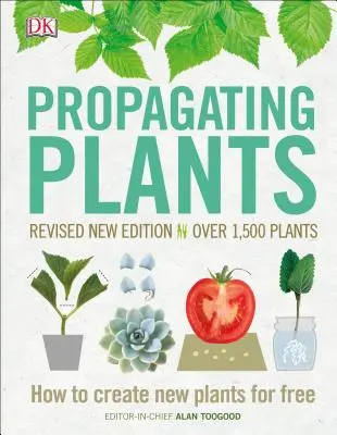 Propagarea plantelor: Cum să creezi plante noi gratuit - Propagating Plants: How to Create New Plants for Free