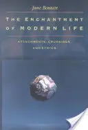 Fermecarea vieții moderne: Atașamente, încrucișări și etică - The Enchantment of Modern Life: Attachments, Crossings, and Ethics