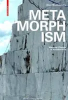 Metamorfismul - Schimbarea materialelor în arhitectură - Metamorphism - Material Change in Architecture